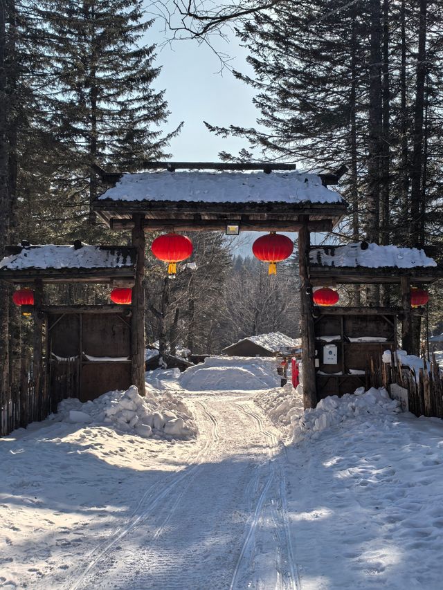 鏡頭下的大雪谷，雪蘑菇與霧凇的幻境交響