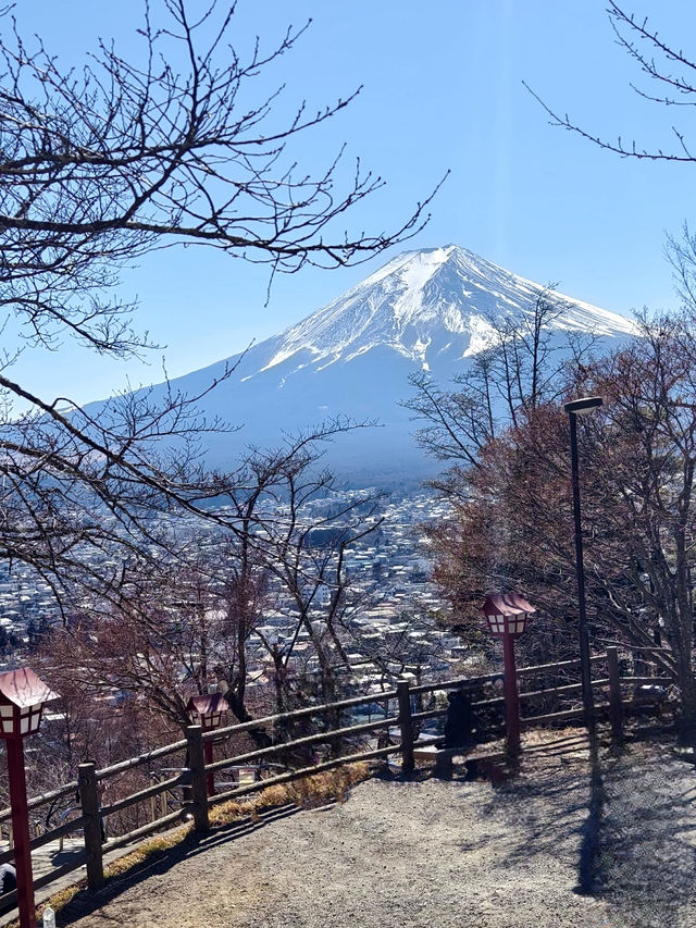 終於理解那句東京之旅早比世更遙遠