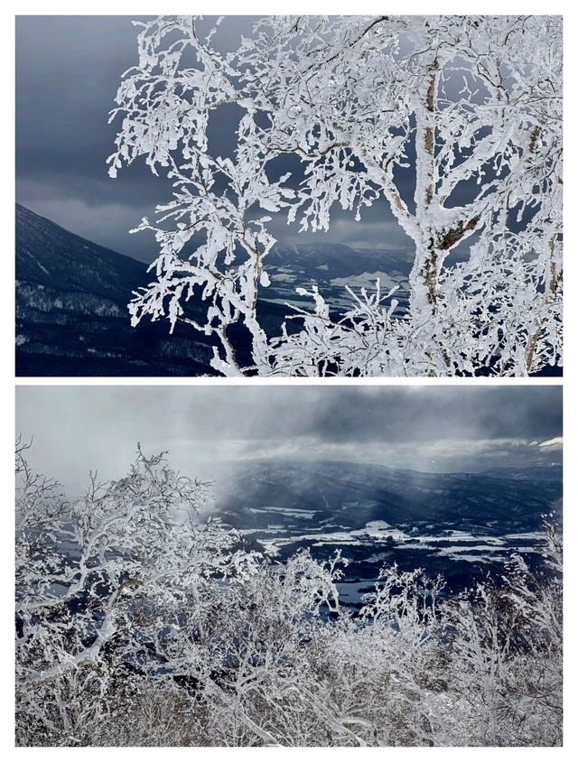 日本北海道二世古，粉雪天堂與霧凇仙境的夢幻奇遇。