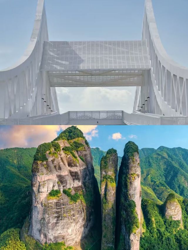 衢州之旅已結束，說點真心話。