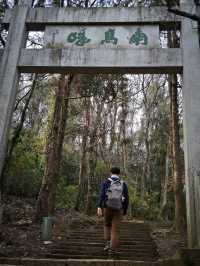 杭州徒步+探梅——遺世之梅，慧因高麗寺篇