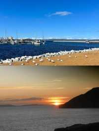 奧爾巴尼 | 邂逅澳洲的野性浪漫