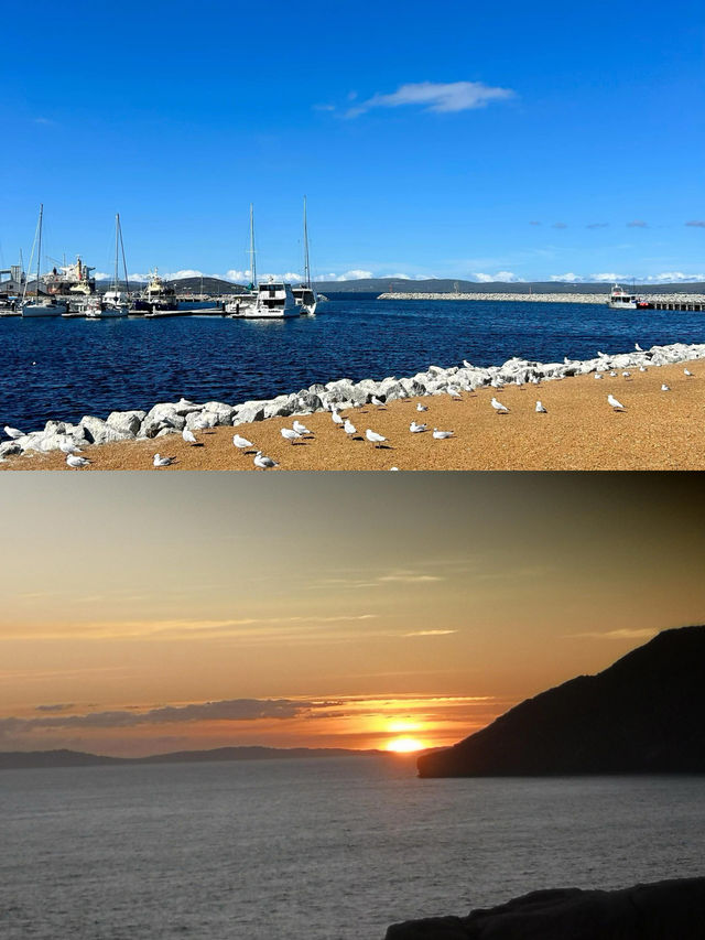 奧爾巴尼 | 邂逅澳洲的野性浪漫 奧爾巴尼 | 邂逅澳洲的野性浪漫