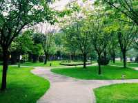 Roaming Chengdu: City Channels