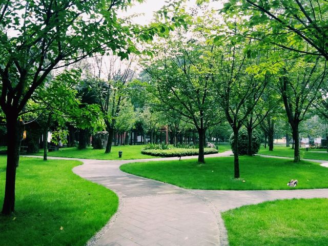 Roaming Chengdu: City Channels