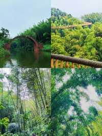 驚喜睇《哪吒2》免費遊蜀南竹海