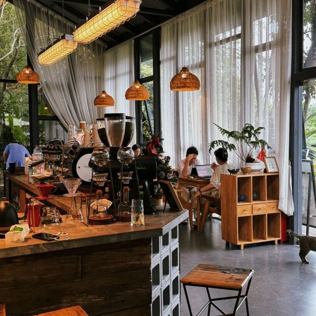 珠海這家咖啡館居然有清邁既視感🌳