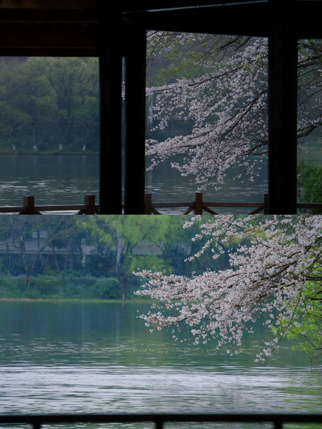 來趟杭州吧