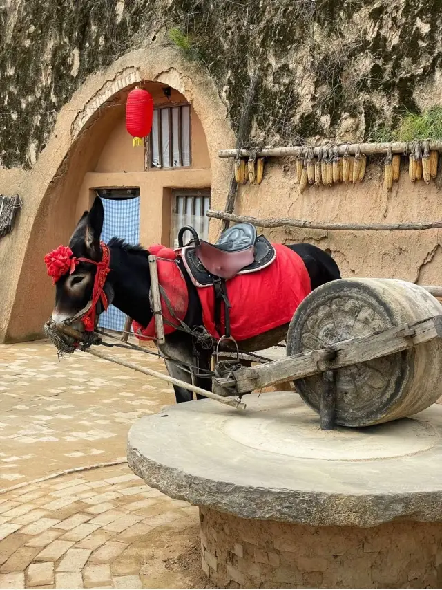 7-Day Trip: Explore Yan'an, Xi'an, and Linfen during the Qingming Festival