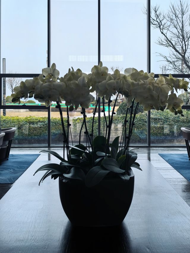 煙台金沙灘 / 鑫廣萬豪