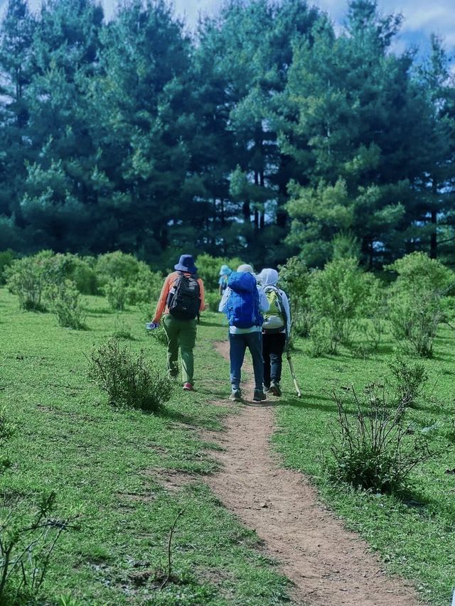 鳥吊山徒步攻略｜大理版等阿勒泰