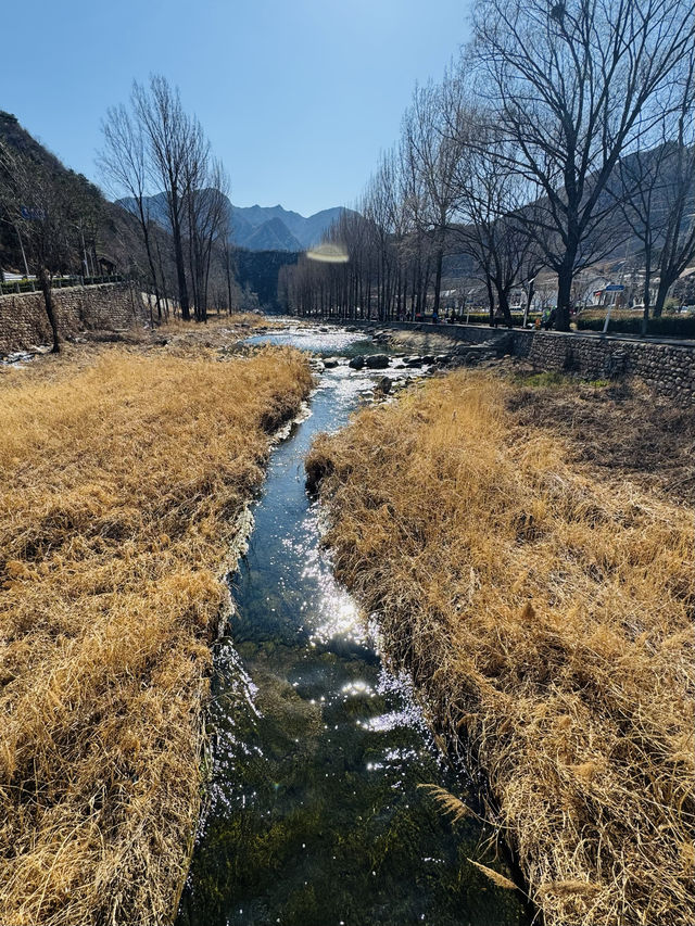 春季休閒好去處