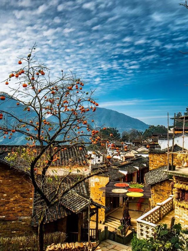 婺源3日遊超全攻略 不踩雷必看