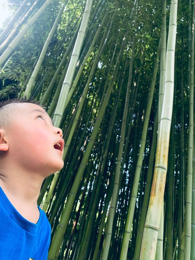 青浦曲水園親子探幽記｜古典園林裡的童趣時光🪁