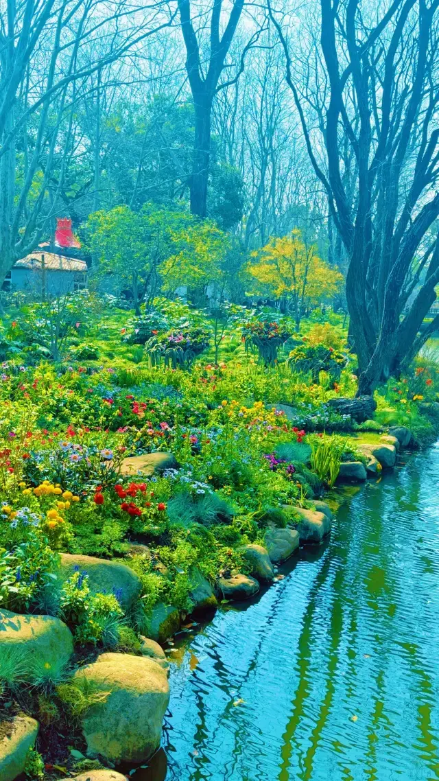 "Shanghai Gongqing Forest Park, isn't it a paradise in the city?"