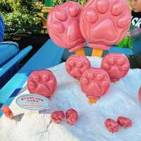 上海ディズニーランド！