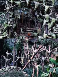 探索雲南普洱嘅西盟勐梭龍潭