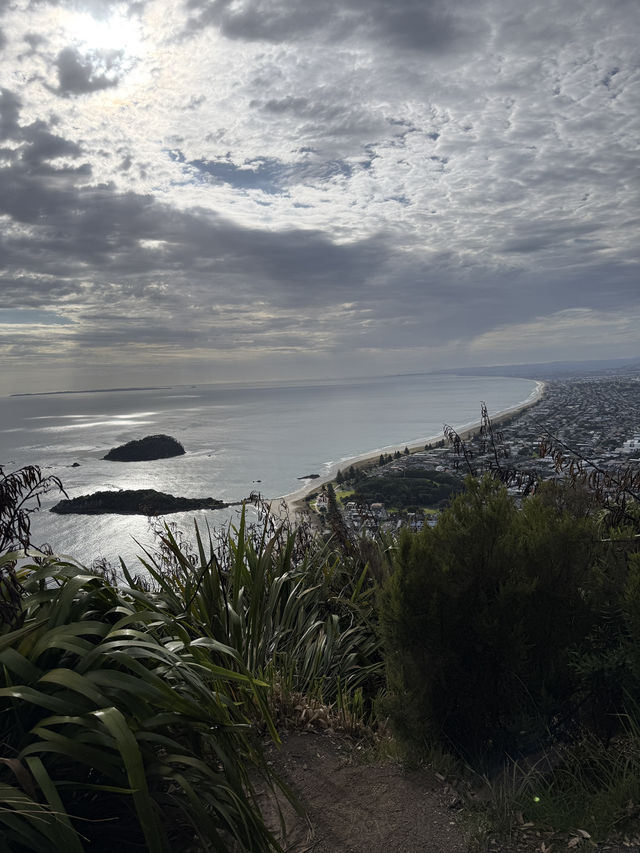 A Morning Walk Up The Mount, A Must Do In Tauranga NZ