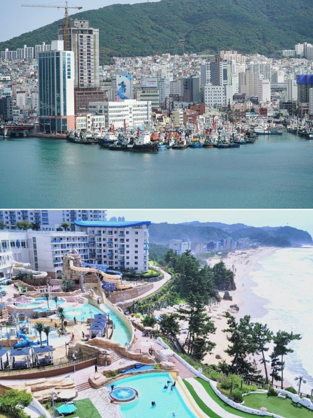 韓國東海市，兩天暢玩不踩雷攻略