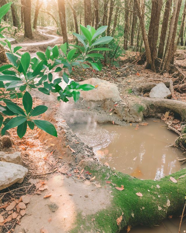 別府地獄溫泉／泡在火山上的「地獄美學」