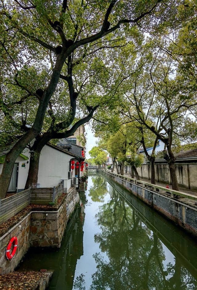 新場古鎮：上海最後的枕水人家