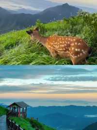 武功山