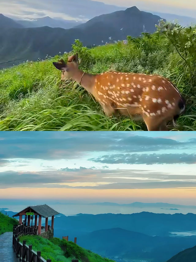 武功山