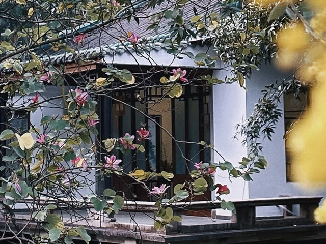 廣州蘭圃，超級治愈的蘭花天堂✨
