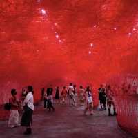 深圳北站附近一日睇展逛吃路线！