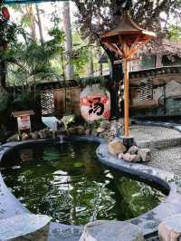 觀瀾山水田園文化園，超級愜意的深圳田園度假地✨