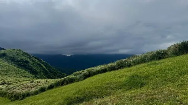 來台北一定要來陽明山擎天崗 🌄