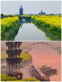 第一次去興化，直接複製這條路線