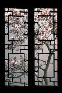 Discover the Beauty of Suzhou Gardens