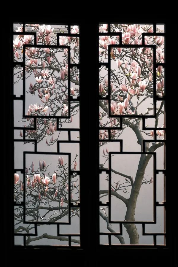 Discover the Beauty of Suzhou Gardens