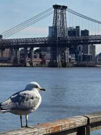 New York City: The City That Never Sleeps