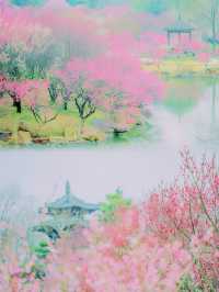 揚州瘦西湖：詩畫中的旅行指南