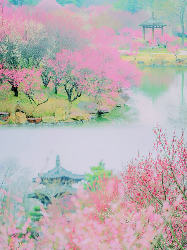 揚州瘦西湖：詩畫中的旅行指南