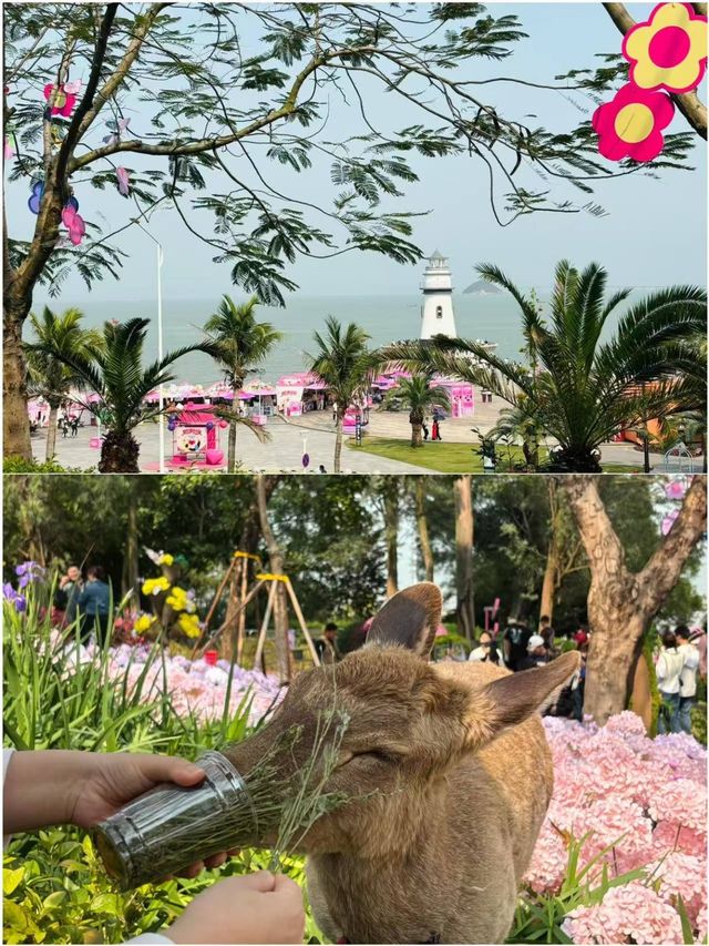 高鐵直達 第一次來珠海 這樣玩不踩雷