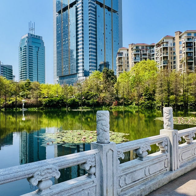 深圳原來有個荔枝公園？