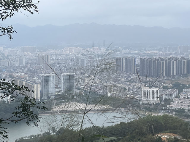 陽春登山道攻略｜爬上去，看到整座城市的心跳 🏞️🥾 