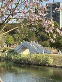 珠海中山公園：鬧市中的靜謐樂土