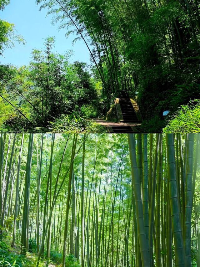 蜀南竹海——雲山竹海·天上人間