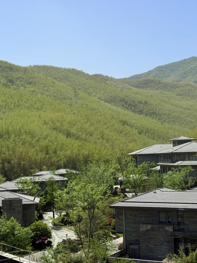 宜興｜週末這樣解鎖竹海休閒度假生活