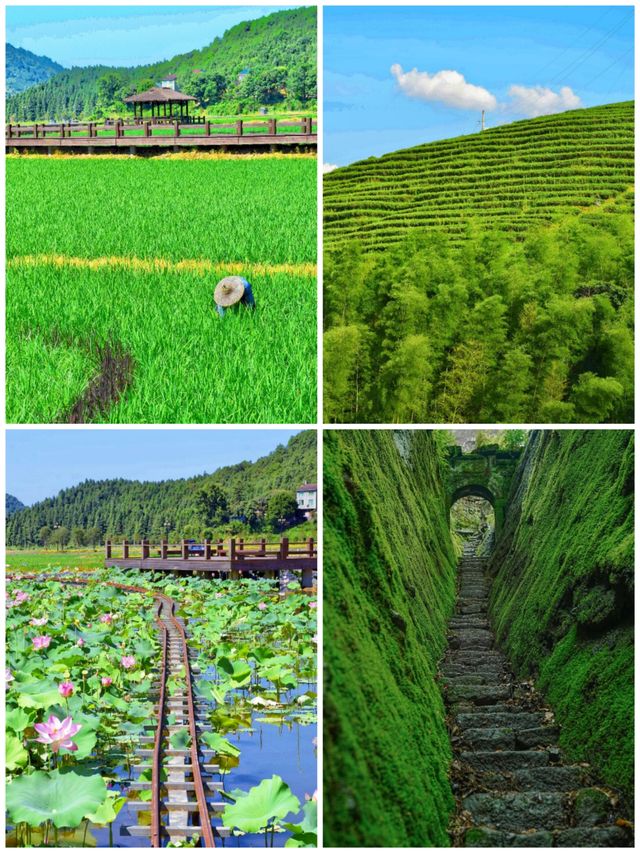 我確定：這是我去過最仙的地方