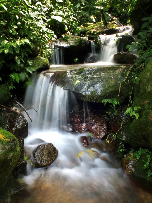 Summer is here! Shenzhen has many stream trekking spots - check them out