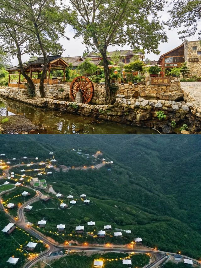 五一去邊玩？信陽毛尖茶旅路線來啦！