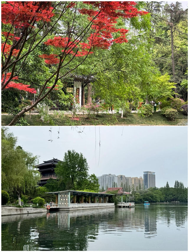 去了5次合肥，整理出來的攻略