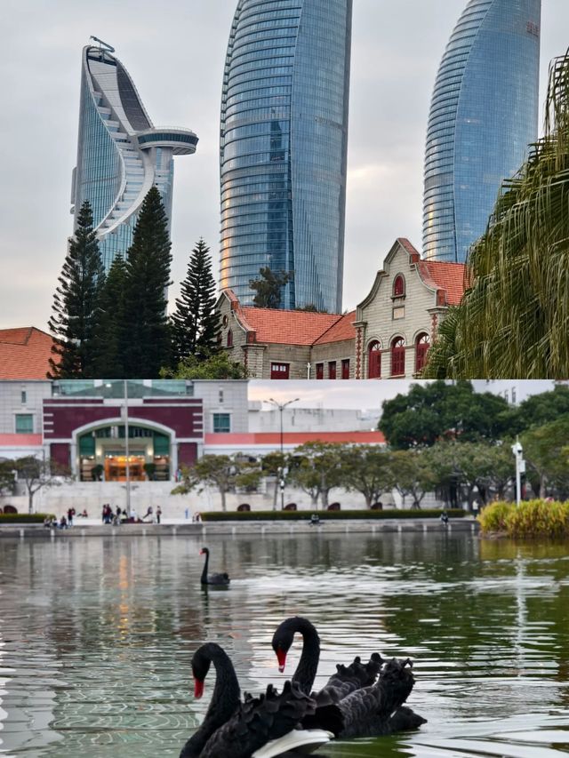 廈門環島路，一場海邊嘅浪漫之旅