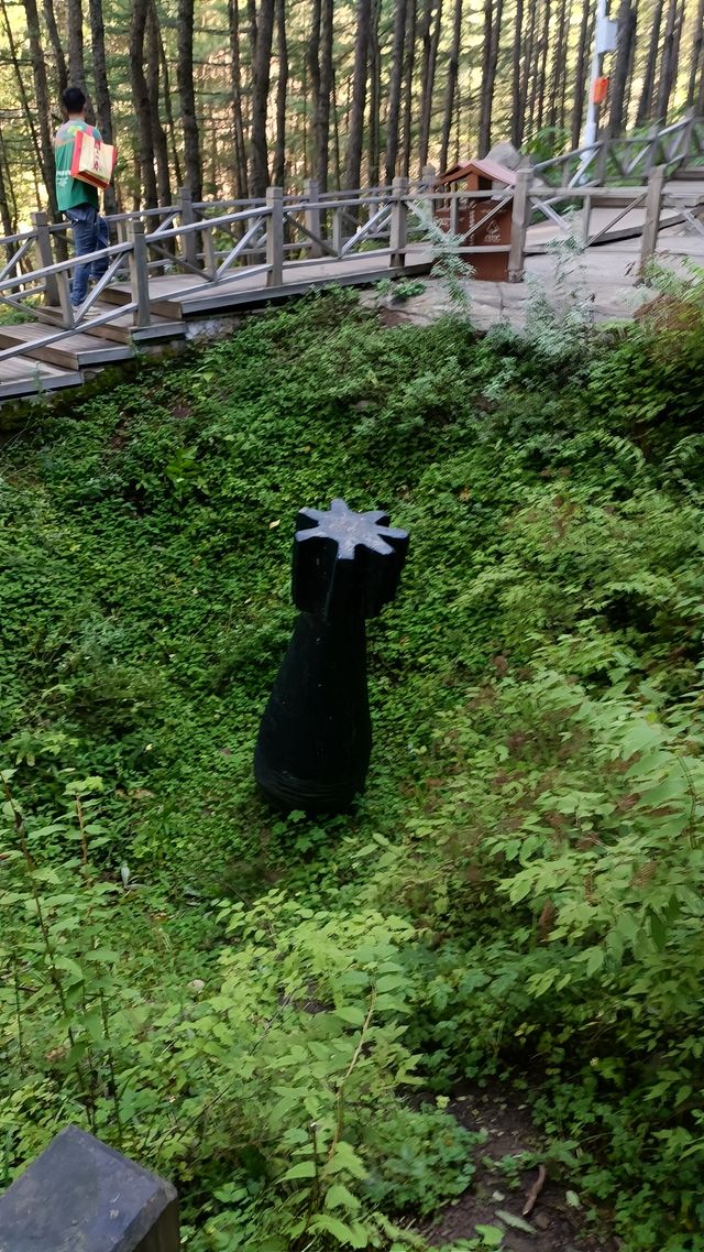 寧夏涇源縣旅遊攻略：探秘六盤山下的詩意秘境