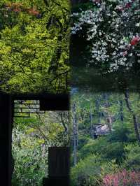 【鎮江·一眼千年，山水詩行】